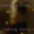 Looking horny women Tampa