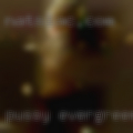 Pussy Evergreen